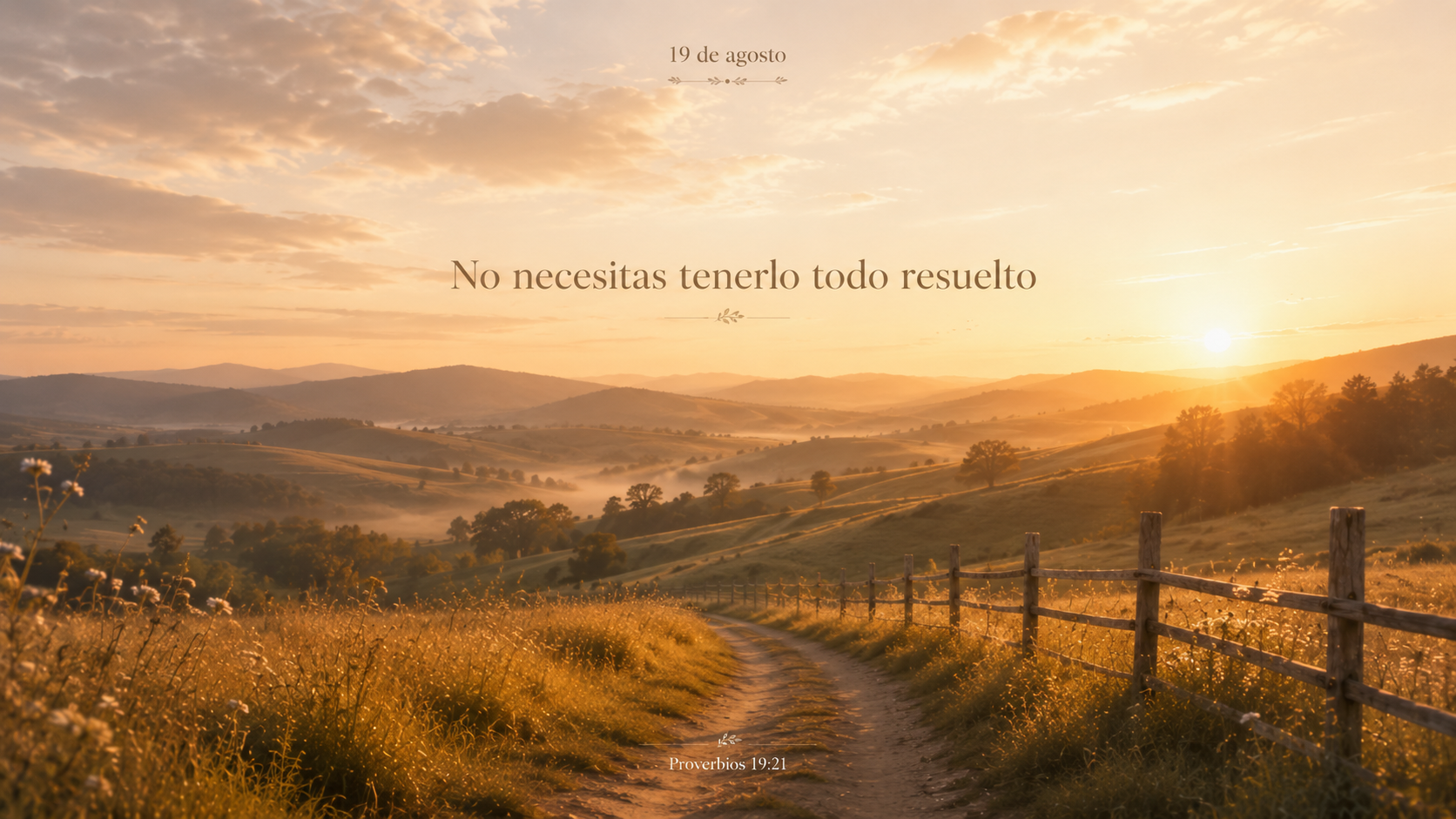 No necesitas tenerlo todo resuelto